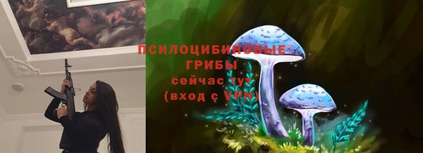 ПСИЛОЦИБИНОВЫЕ ГРИБЫ Баксан