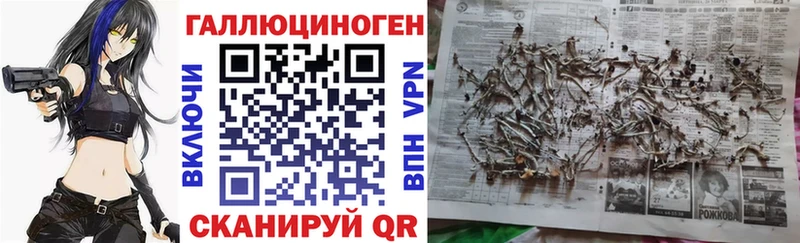 ссылка на мегу ссылка цены наркотик Коммунар Псилоцибиновые грибы ЛСД