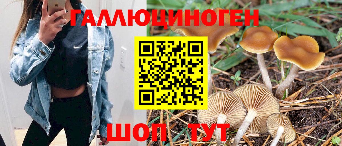 наркошоп  Псилоцибиновые грибы Psilocybine cubensis  Коммунар  Вход с VPN  Псилоцибиновые грибы Psilocybine cubensis 